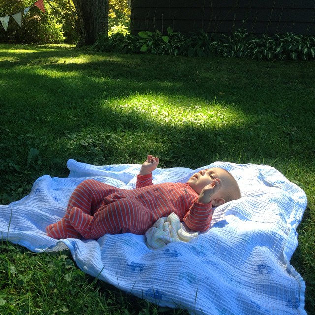 My first summer, coming to an end...