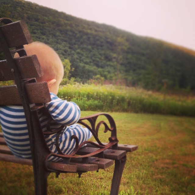 So much beauty... so little time.