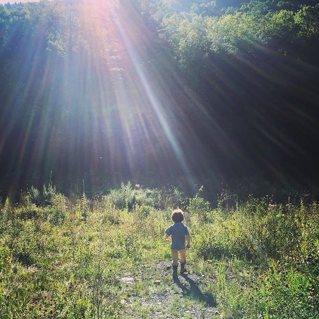 Off to the creek