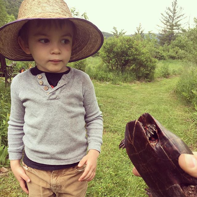 First Turtle